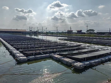 Progetto a pannello solare galleggiante